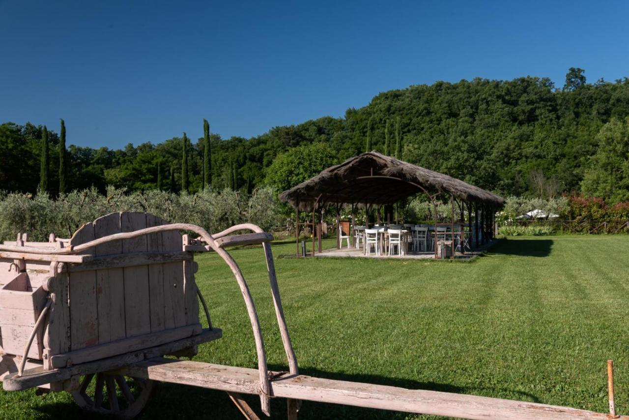 Cuprena Agroturismo Arezzo