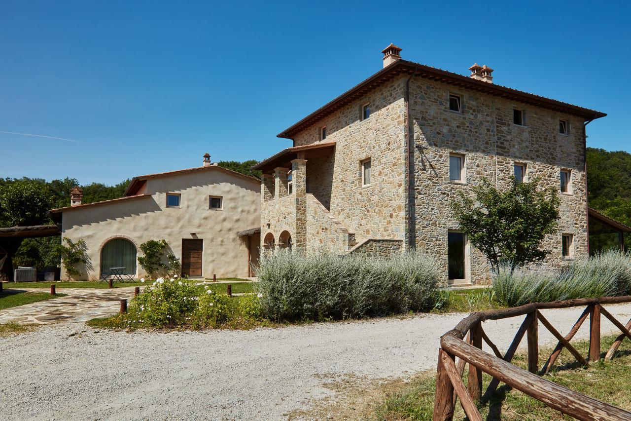 Cuprena * Arezzo