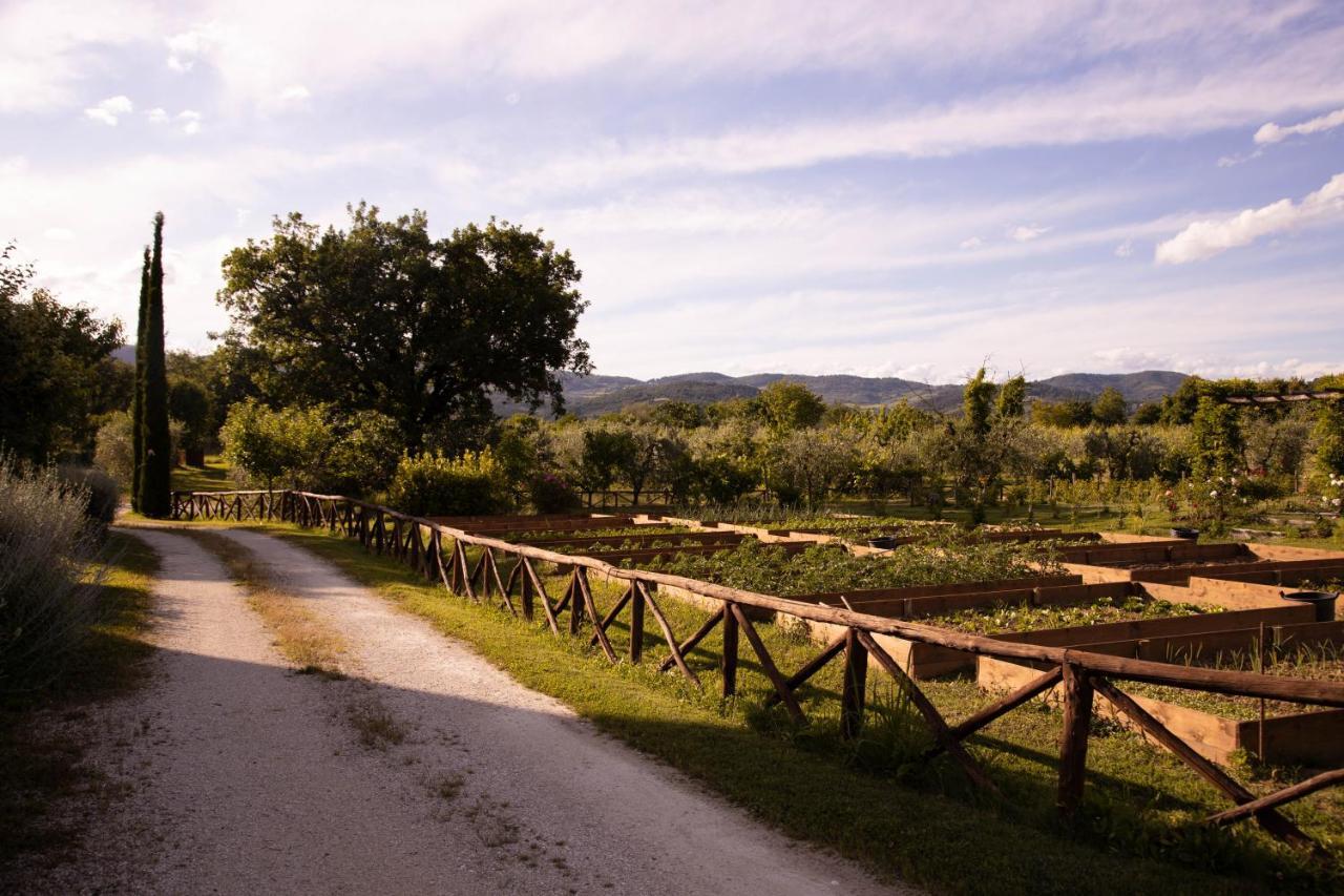 Cuprena Vakantieboerderij Arezzo