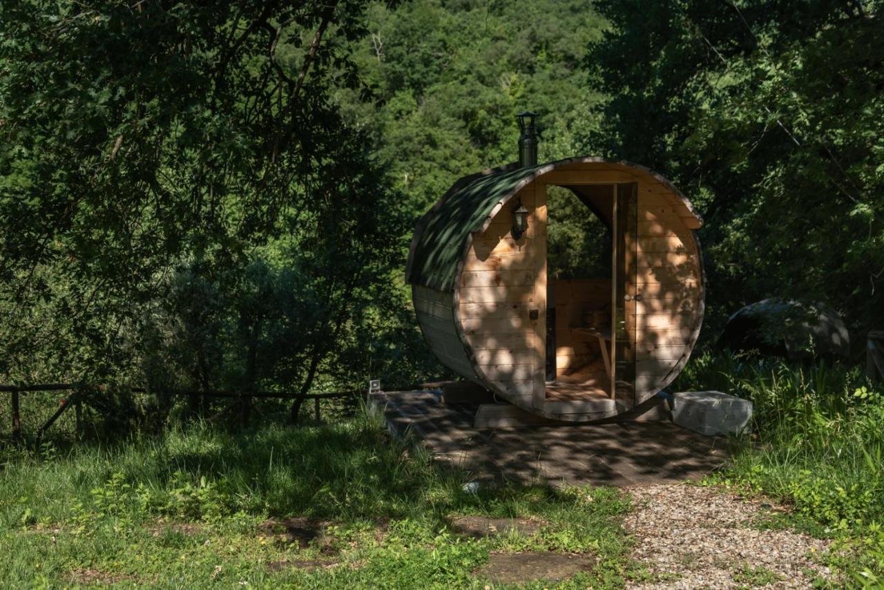 Cuprena Vakantieboerderij Arezzo